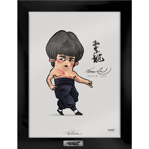 قاب کلکسونی بروس لی Bruce Lee