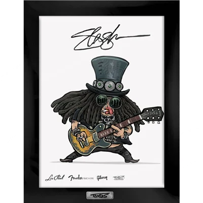 قاب کلکسونی اسلش Slash